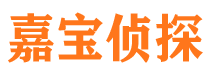 武清市侦探调查公司